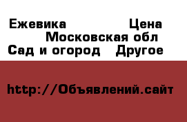 Ежевика “Flint“ . › Цена ­ 350 - Московская обл. Сад и огород » Другое   